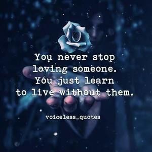 Meet your Posher, Fabiola